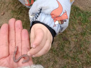 Regenwurm auf einer Hand, den eine Kinderhand betastet